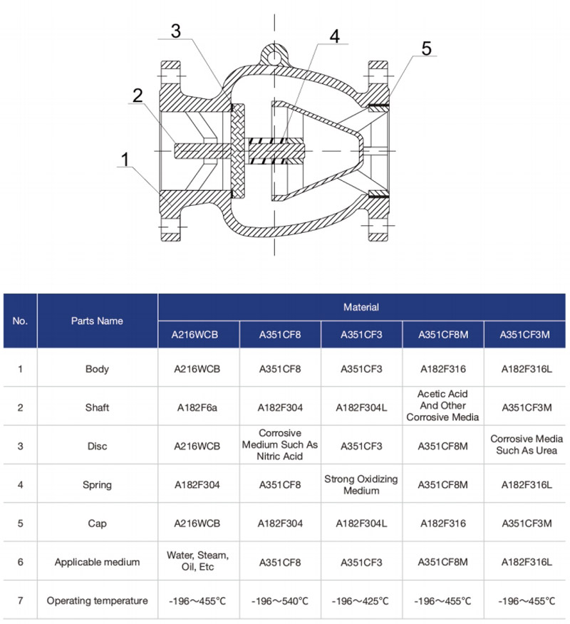 Axial-Flow-Check-Valve1