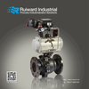 High Platform Ball Valve2