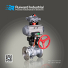 High Platform Ball Valve3