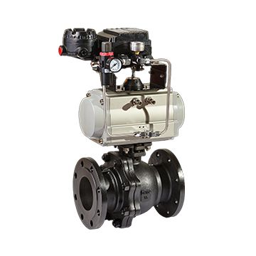 Pneumatic Valve